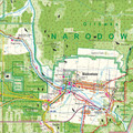 Puszcza_Bialowieska_50_frg.jpg